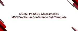 NURS FPX 6400 Assessment 1 MSN Practicum Conference Call Template